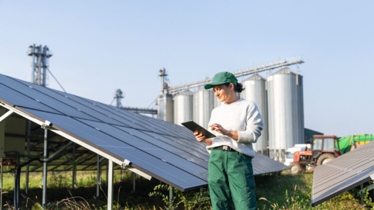 Adiós a los cultivos: un agricultor revela el dineral que gana en sus tierras gracias a las placas solares 1 El dineral que gana en sus tierras gracias a las placas solares