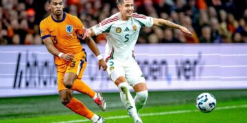 Hein, Grillitsch, Nikitscher y Moro, internacionales desde Valladolid