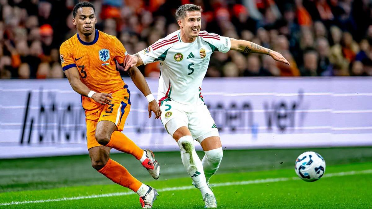 Hein, Grillitsch, Nikitscher y Moro, internacionales desde Valladolid