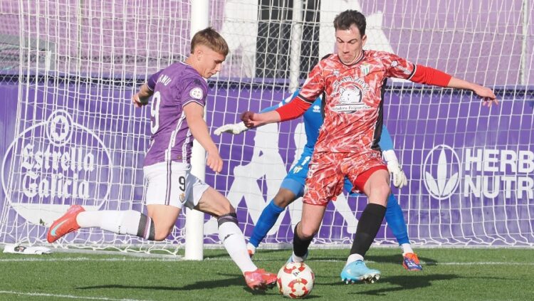 Arnu vuelve al mercado 1 Arnu, Valladolid