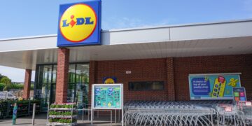 Colas en Lidl: mantén tu comida fresca en tus escapadas de verano