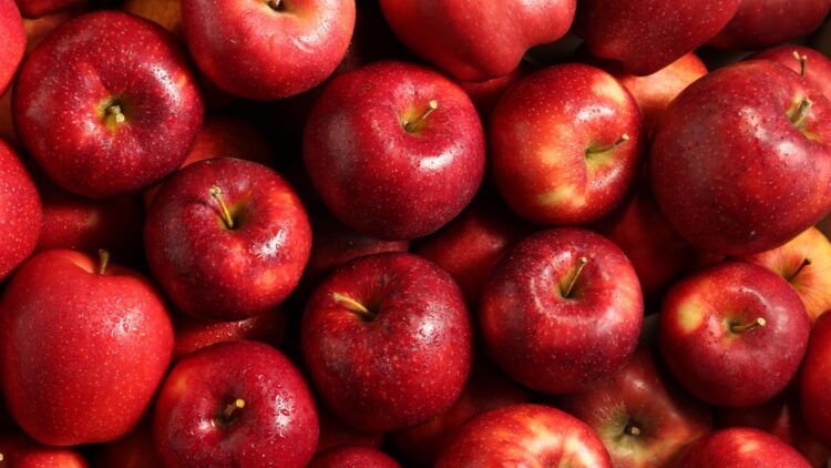 Confirmado: la mayor plantación de manzanas de Europa está en la España vaciada... y ya puedes visitarla 1 La mayor plantación de manzanas de Europa está en la España vaciada