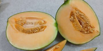Si compras el melón o la sandía cortados, debes tener cuidado