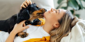 Buenas noticias para los amantes de los perros