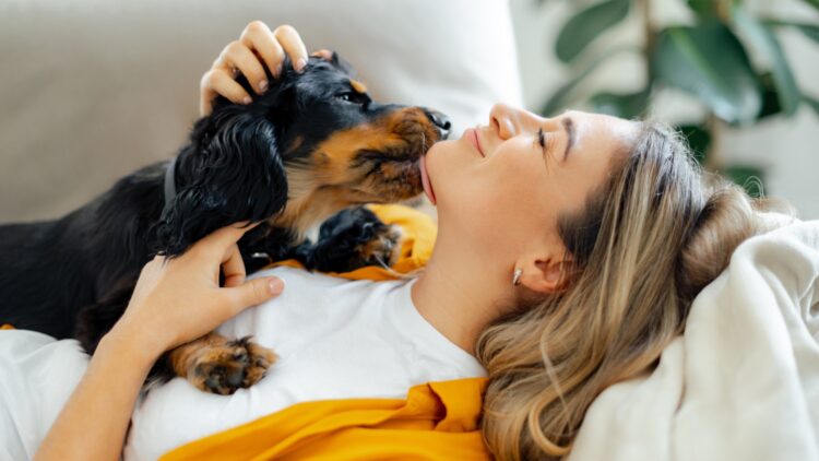 Buenas noticias para los amantes de los perros: tu impulso por acariciarlos a todos tiene una explicación psicológica 1 Buenas noticias para los amantes de los perros