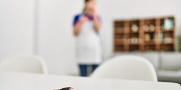 Adiós a las plagas: este truco de la abuela espanta a hormigas