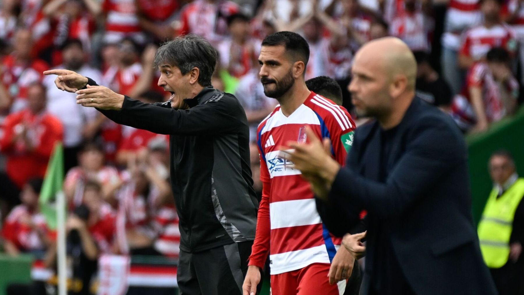 Iván Sánchez se despide del Real Valladolid 2 Pacheta en el Granada - Racing