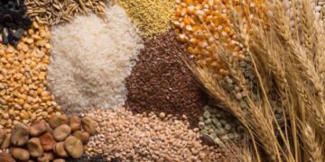 Cereales del desayuno sanos de otros que no lo son