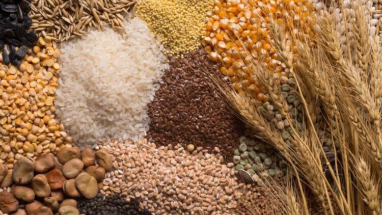 Confirmado por expertos: así puedes diferenciar unos cereales del desayuno sanos de otros que no lo son 1 Cereales del desayuno sanos de otros que no lo son