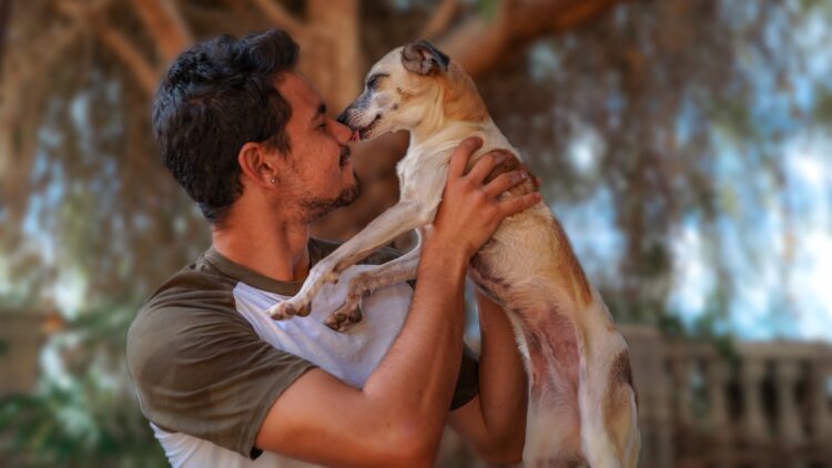 No, si tu perro te chupa, no es porque te quiera mucho: una educadora canina revela sus razones reales 1 Si tu perro te chupa, no es porque te quiera mucho