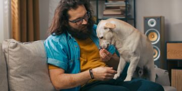 El verdadero significado de que tu perro te siga a todas partes