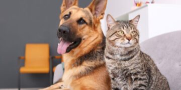 Confirmado: las pescaderías en España se reinventan