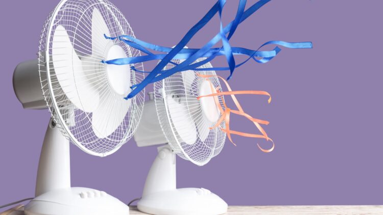 Adiós a los sustos en la factura de la luz: así puedes calcular el gasto del ventilador que tienes puesto toda la noche 1 Así puedes calcular el gasto del ventilador