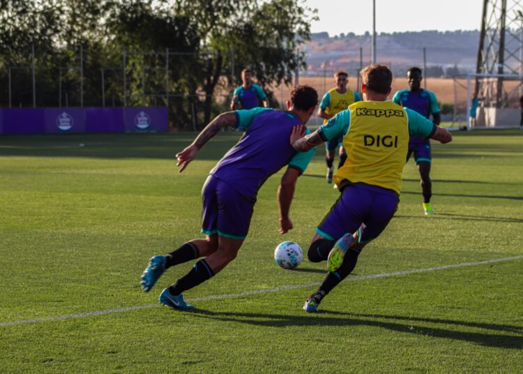 El césped de Zorrilla y una serie de catastróficas desdichas 3 Césped Valladolid