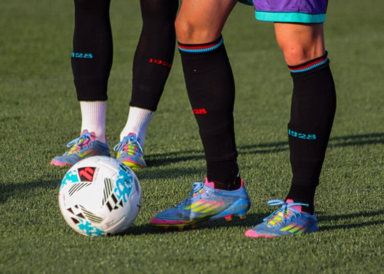 El césped de Zorrilla y una serie de catastróficas desdichas 2 Césped Valladolid