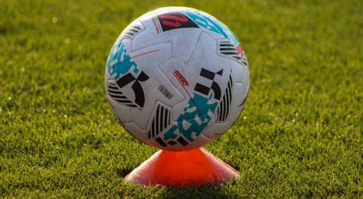 El césped de Zorrilla y una serie de catastróficas desdichas 1 Césped Valladolid