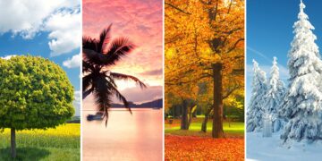 Generando estaciones nuevas nunca antes vistas