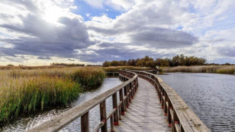 Ni Doñana ni Sanabria: este Parque Nacional está flanqueado por dos ríos y es ideal para una escapada de domingo 1 Este Parque Nacional está flanqueado por dos ríos