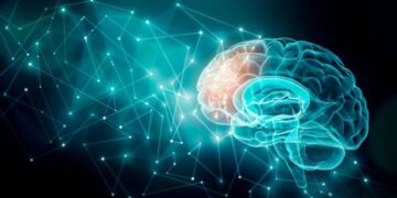 Qué le pasa realmente a tu cerebro si trabajas demasiado