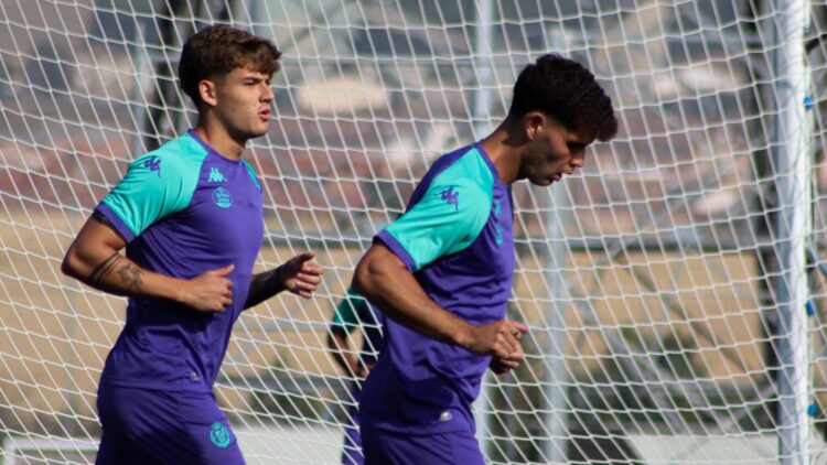 Agenda, Trilli, Garri