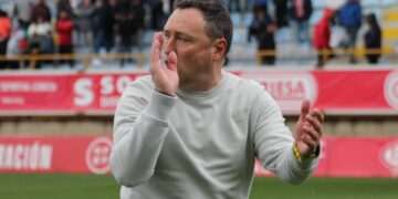 Raúl Llona, Cultural