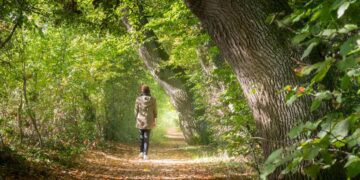 Recuperar la concentración de manera simple y en la naturaleza